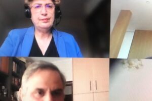 COVID-19: PES economic network examines recovery plan