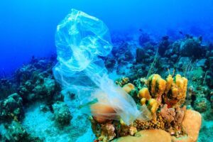 Europe free from single use plastic in 2 years