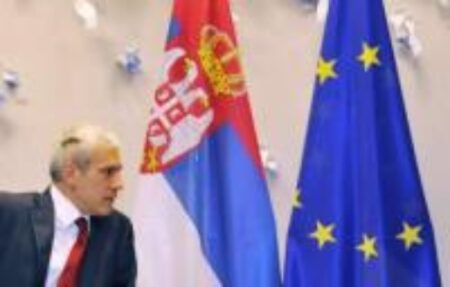 Only Boris Tadic and the Democratic Party (DS) are capable of leading Serbia  to EU Accession
