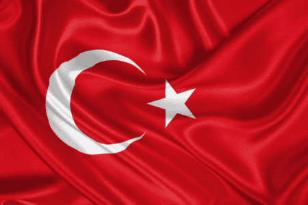 PES: EU should expand its monitoring missions in Turkey after the referendum