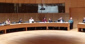 PES exchanges views with SDP Finland on ‘Programme of Progressive  Reforms’