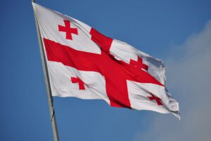 PES supports proposal for cross-party political group fact finding mission to Georgia