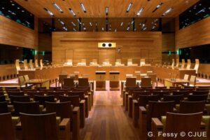PES welcomes EU Court ruling on the Rule of Law and the conditionality of EU funds