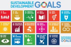 Sustainability at the PES Council