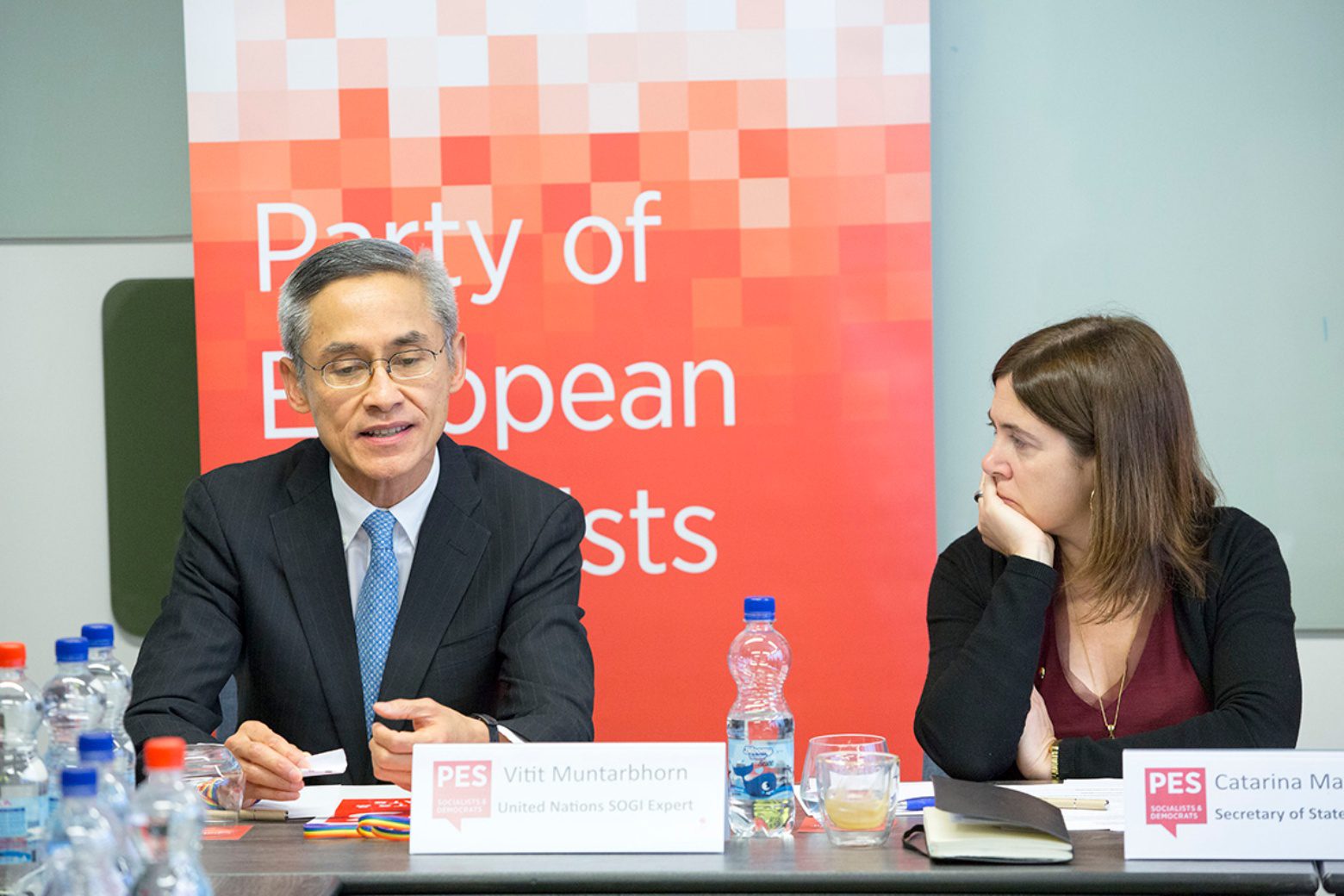 United Nations Expert Addresses First Ever PES LGBTI Network – The ...