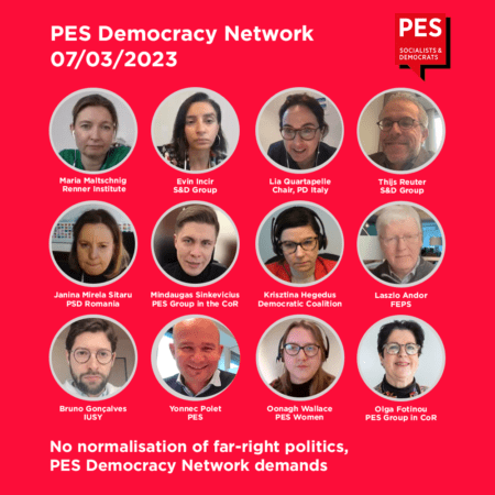 PES Democracy Network meeting today by videoconference