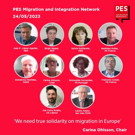 Members of the PES Migration and Integration Network meeting online