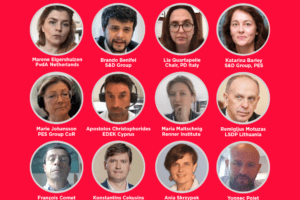Participants in the PES Democracy Network meeting by videoconference