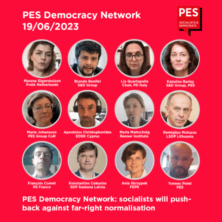 Participants in the PES Democracy Network meeting by videoconference