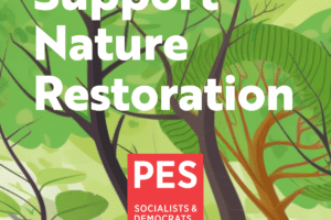 It’s time to back better biodiversity protection