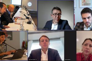Members of the PES Environment, Climate Change and Energy Network (ECEN) meeting in hybrid format