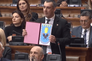 Serbian Parliament Plenary