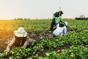 Progressive deal reached to tackle modern slavery in our supply chains