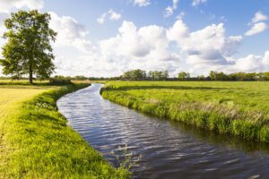 PES welcomes landmark approval of Nature Restoration Law