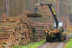 EU Deforestation Law: EPP and far right vote to further dismantle the European Green Deal